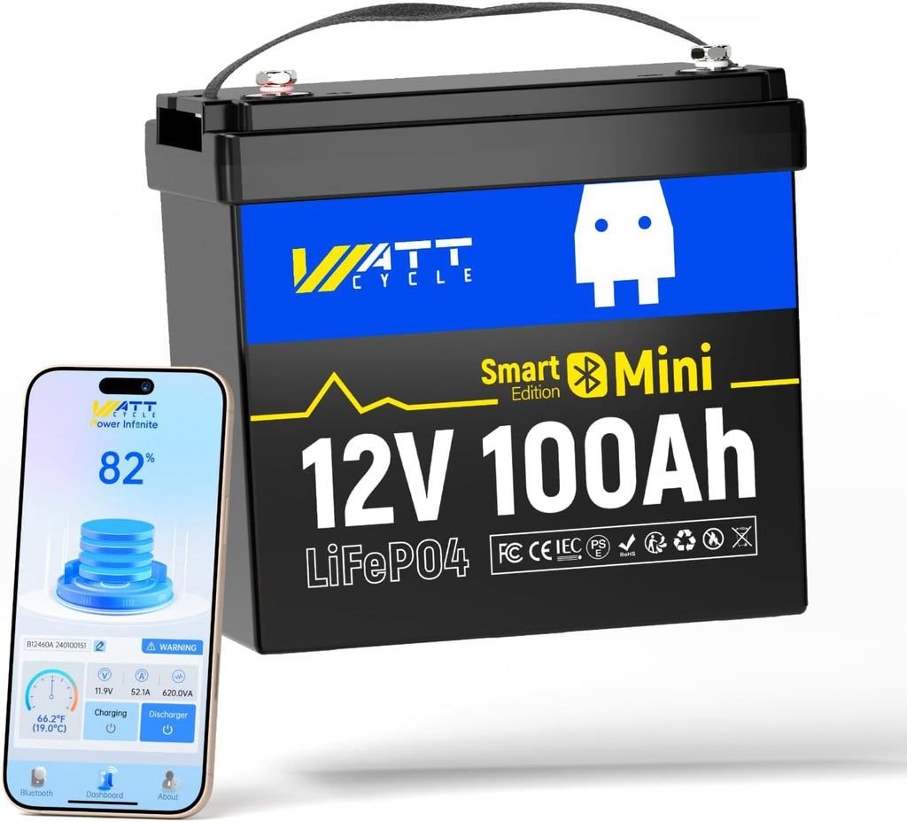 12V 100Ah Mini LiFePO4 Battery Group 24 F9289