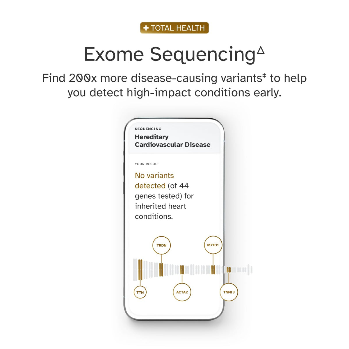 DNA Test Kit O6284