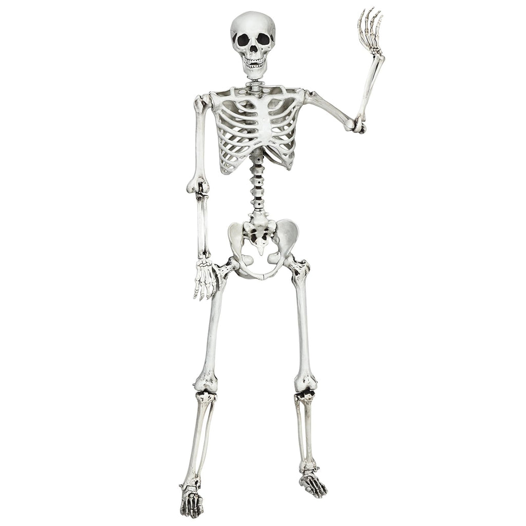 5.4 FT Posable Skeleton Decoration O677956
