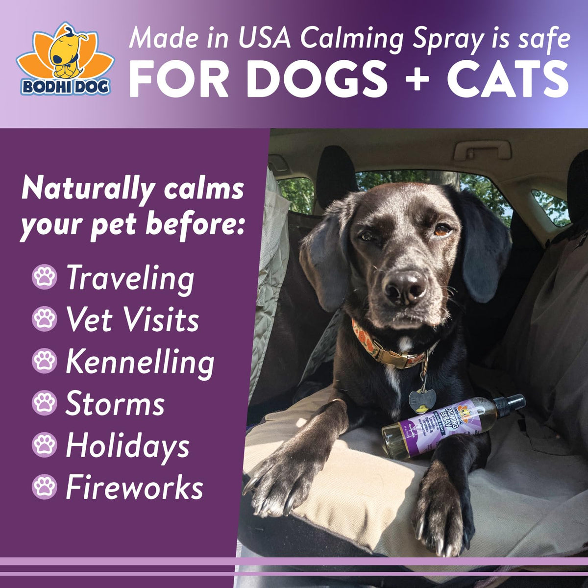Lavender Calming Spray for Dogs & Cats 8 oz N979551