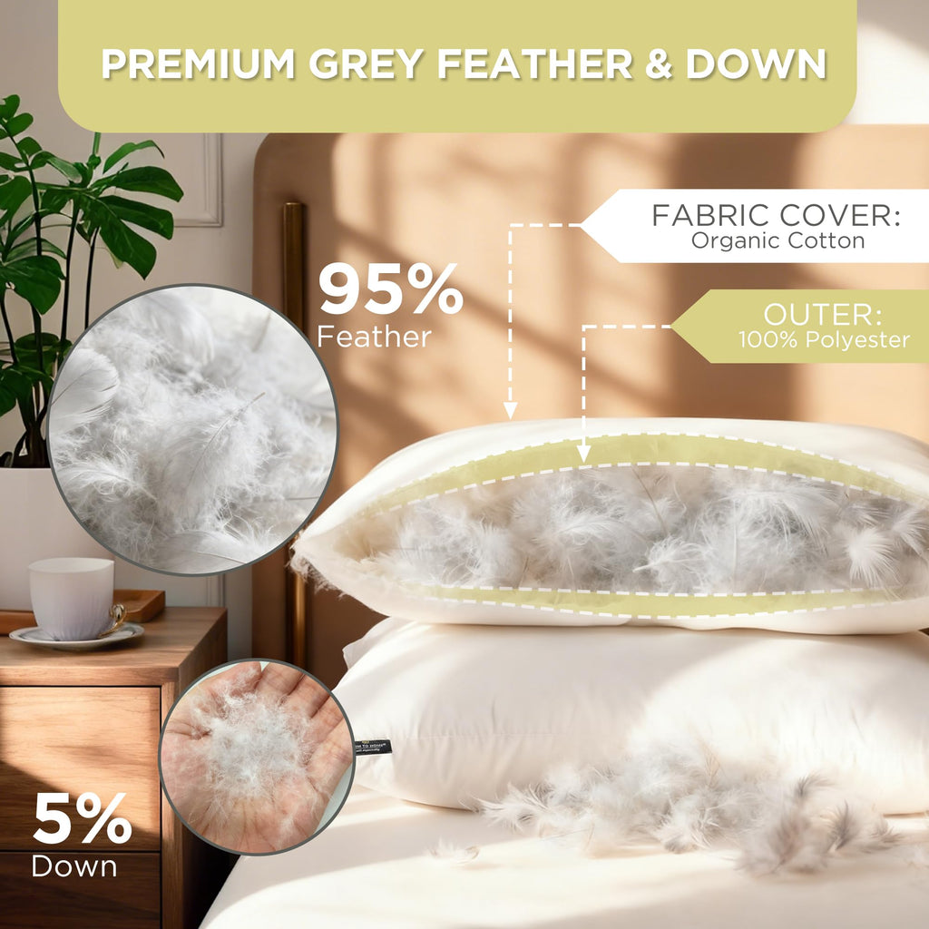 Feather and Down Pillows, 100% Organic Cotton Cover Z34548