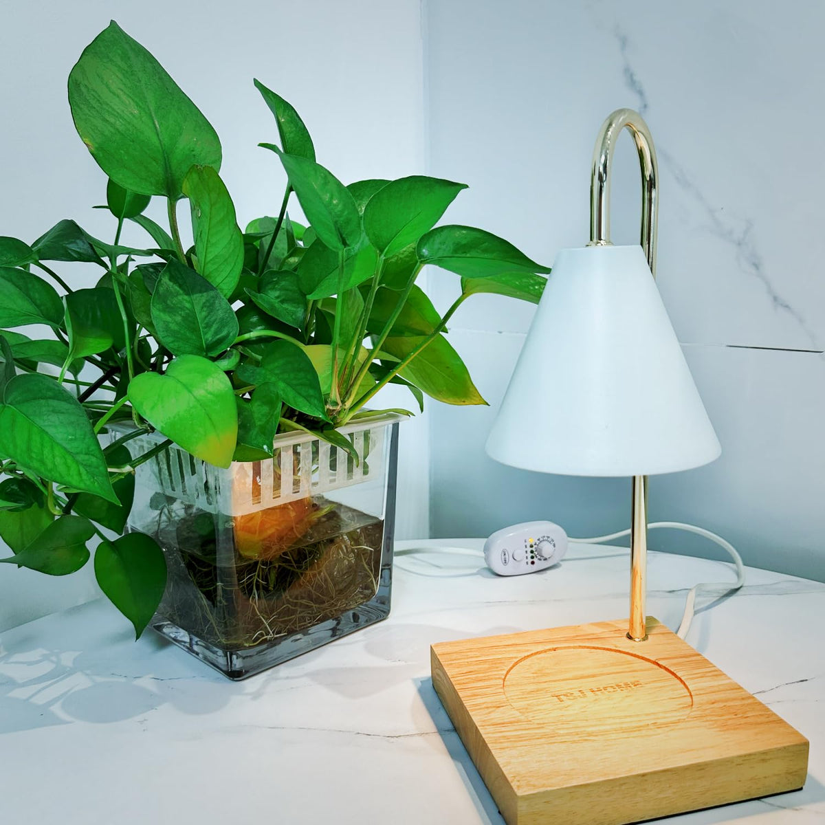Electric Candle Warmer Lamp with 2 Bulbs, Adjustable Height, Timer, Gold K6666