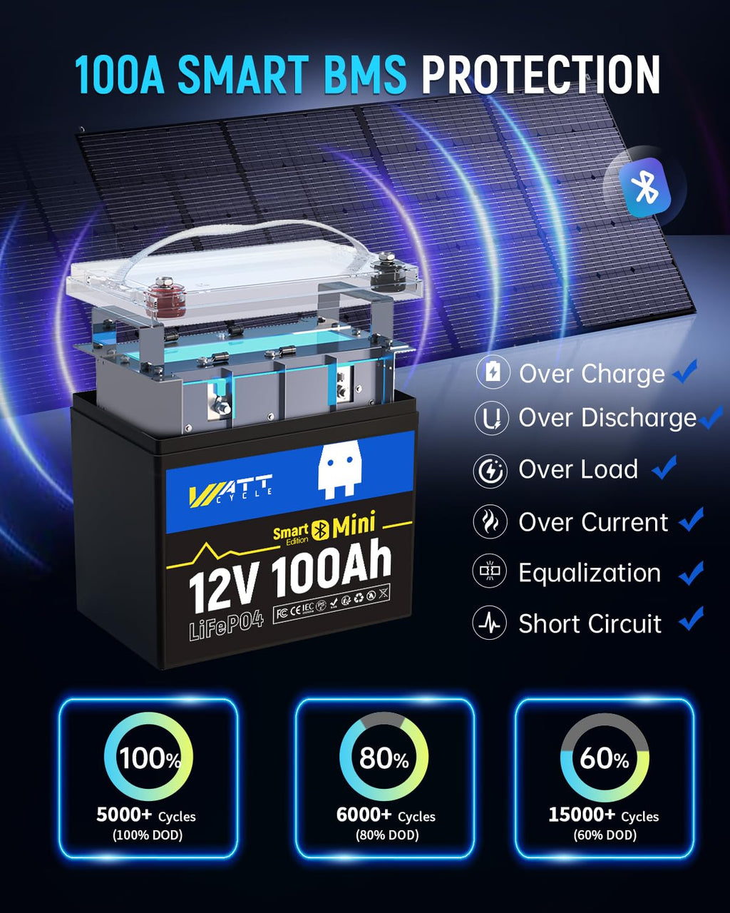12V 100Ah Mini LiFePO4 Battery Group 24 F9289