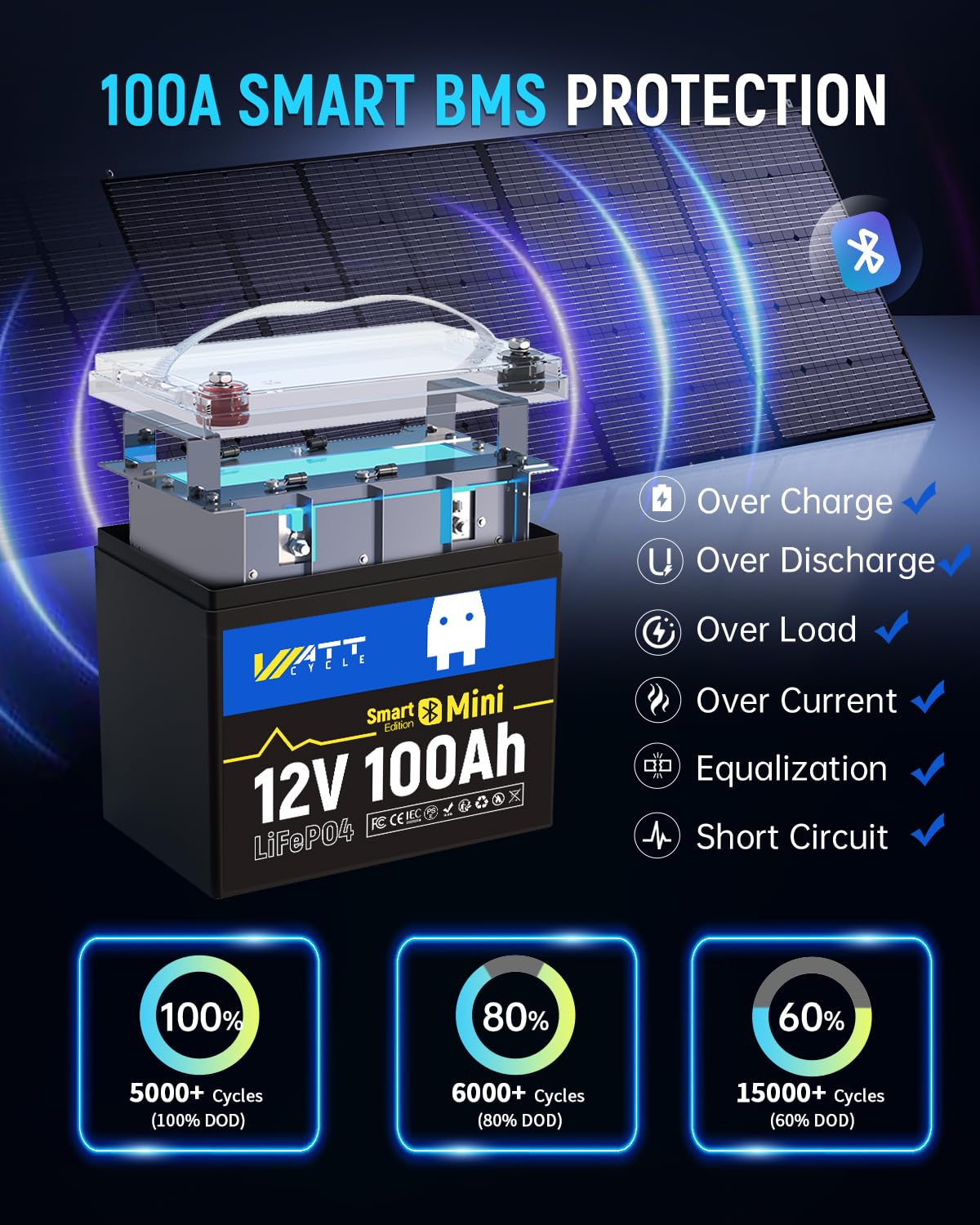 12V 100Ah Mini LiFePO4 Battery Group 24 F9289