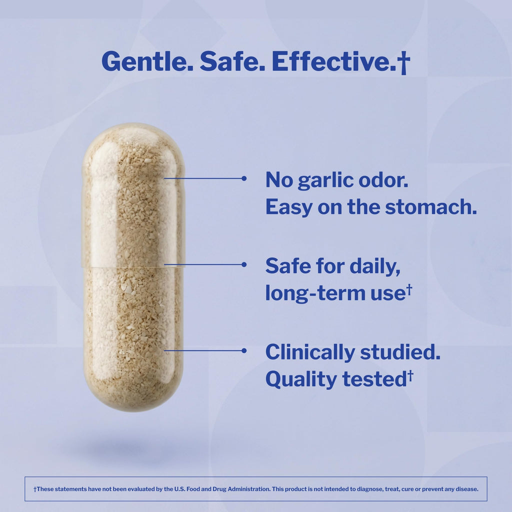 Aged Garlic Extract 300 Caps Y792