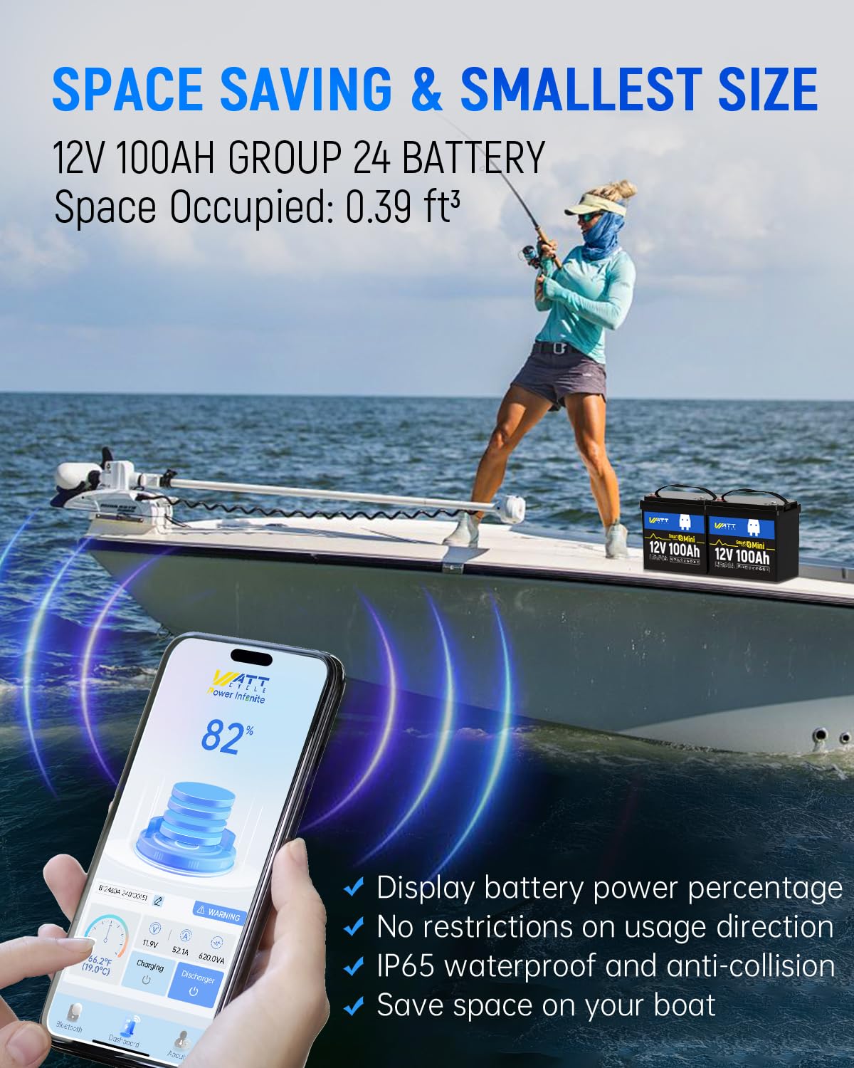 12V 100Ah Mini LiFePO4 Battery Group 24 F9289