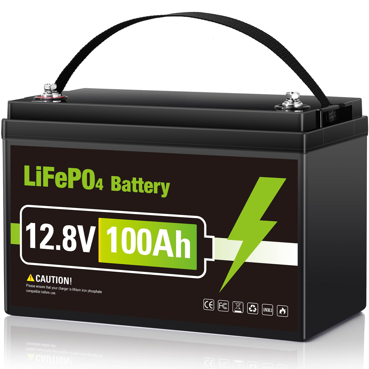 12V 100AH LiFePO4 Lithium Battery X6022