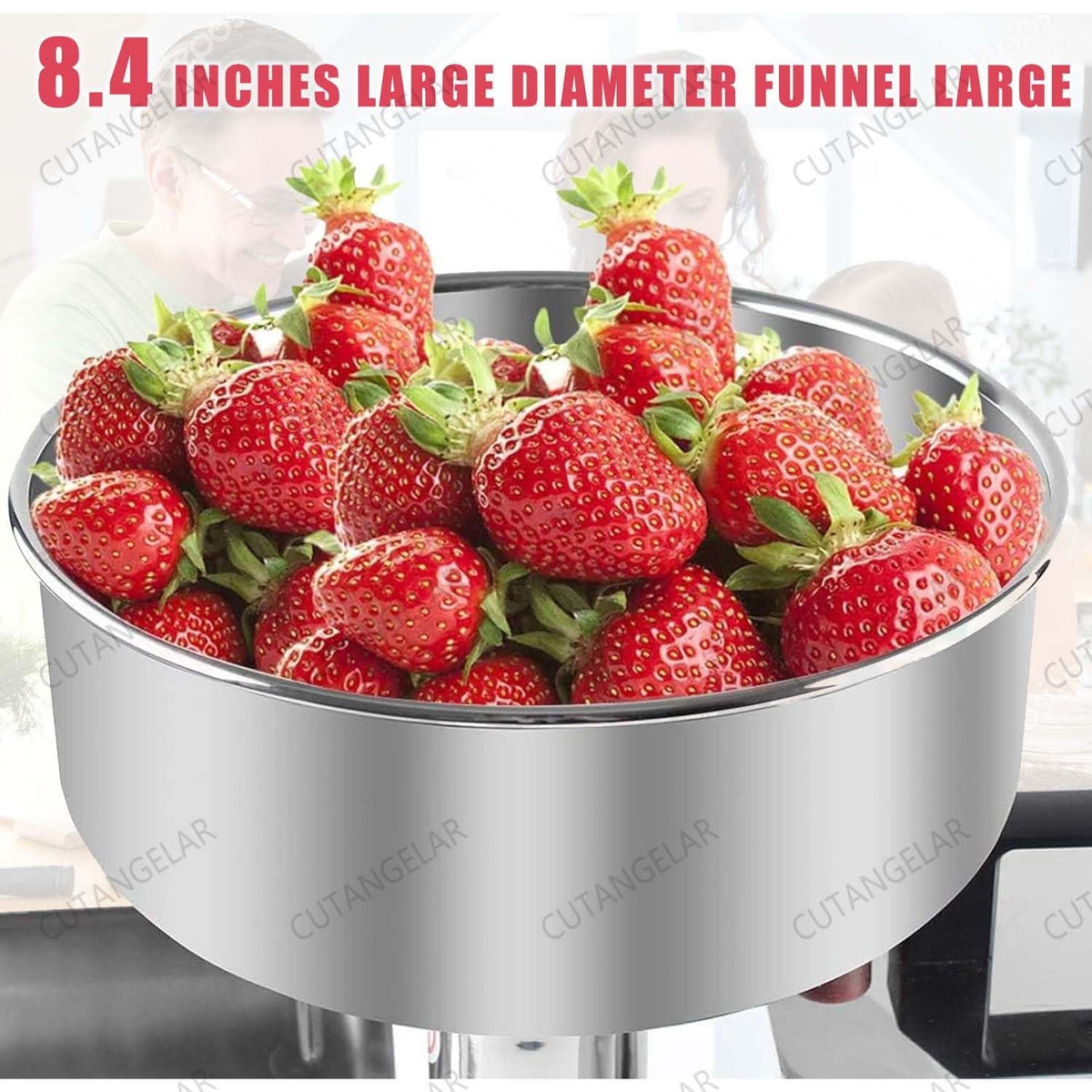 450W Large Capacity Stainless Steel Jam Machine K895