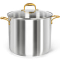 20 Quart Stainless Steel Stock Pot with Lid D8383