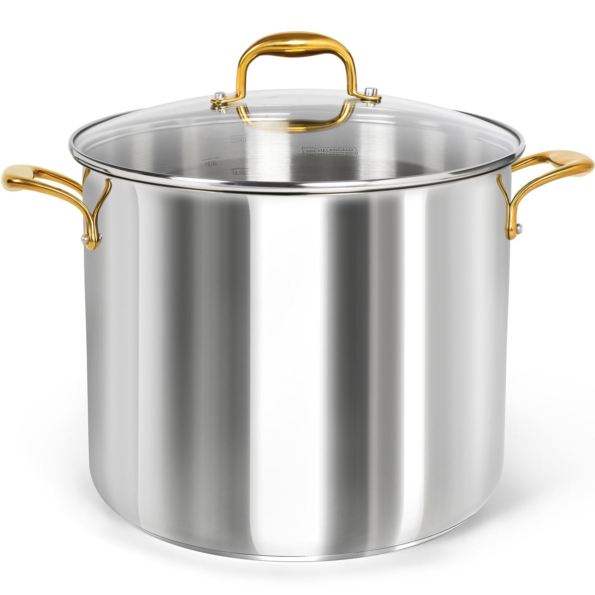 20 Quart Stainless Steel Stock Pot with Lid D8383