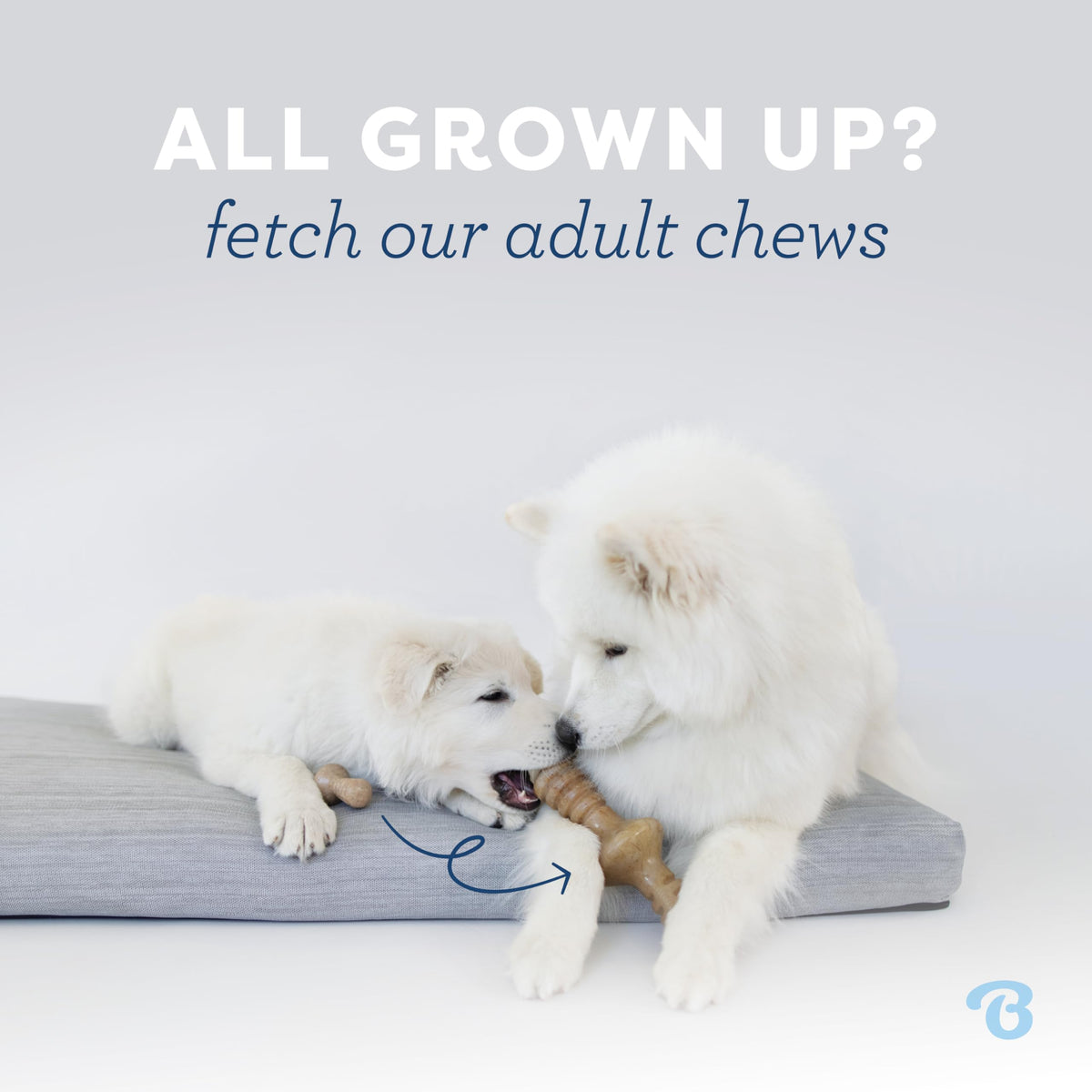 2-Pack Dog Chew Toys Q80472