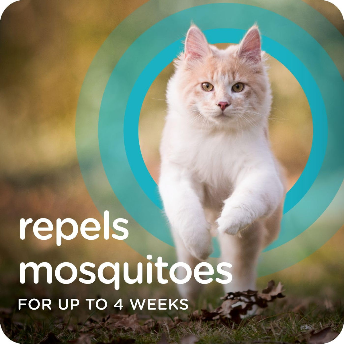 Flea & Tick Topical Cats 3-Month G4247