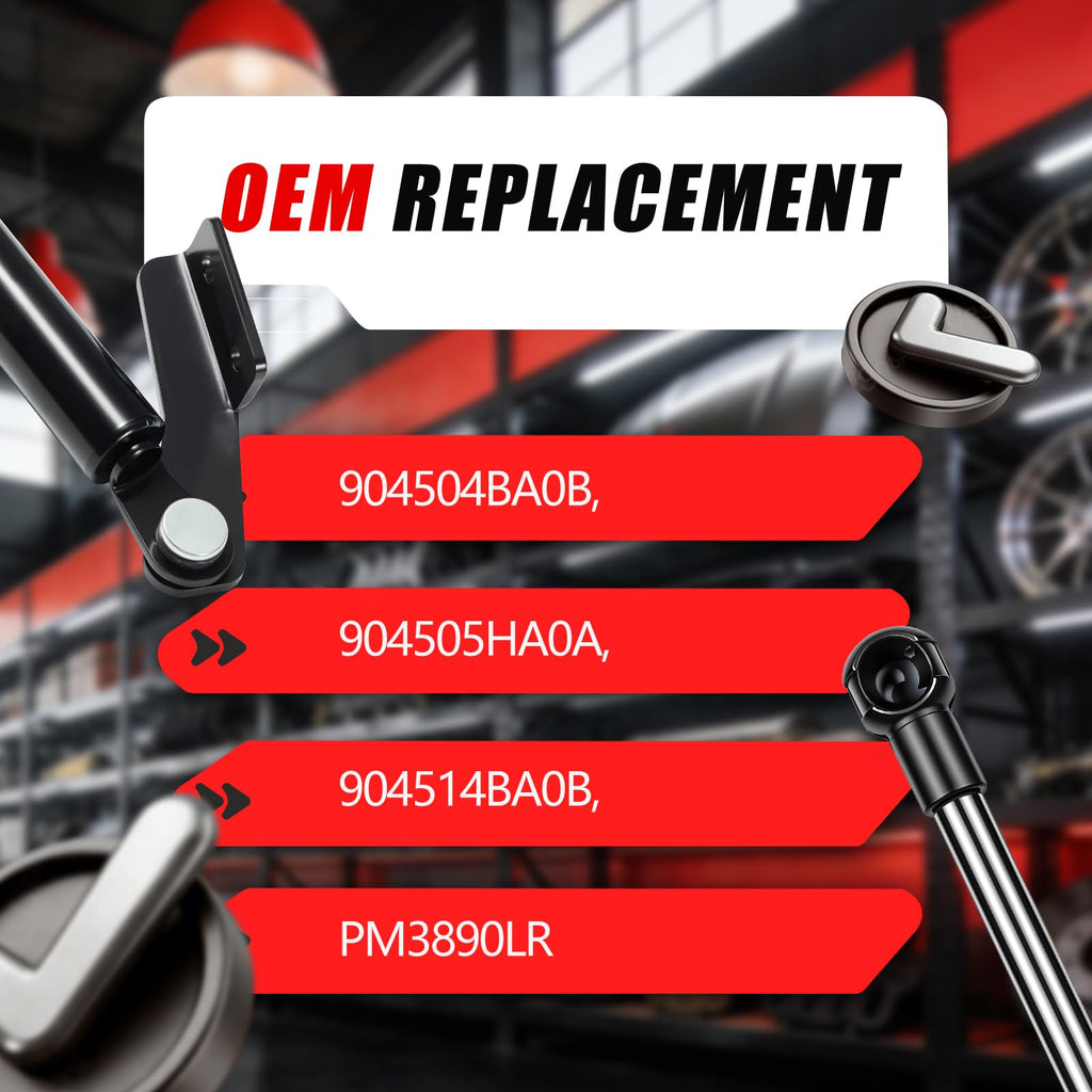 Rear Hatch Struts 2Pcs D303