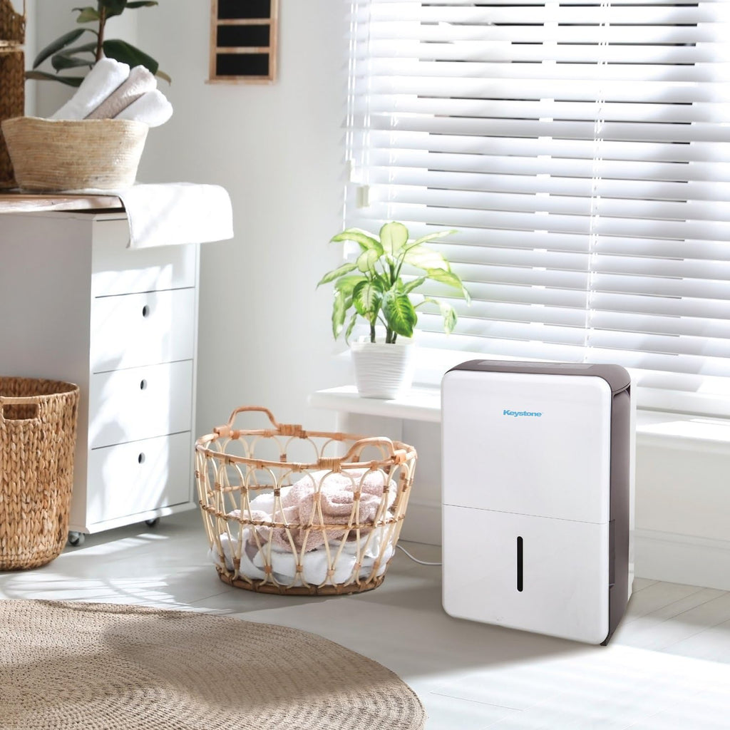 50-Pint Portable Dehumidifier with Auto-Shutoff and Timer L697004
