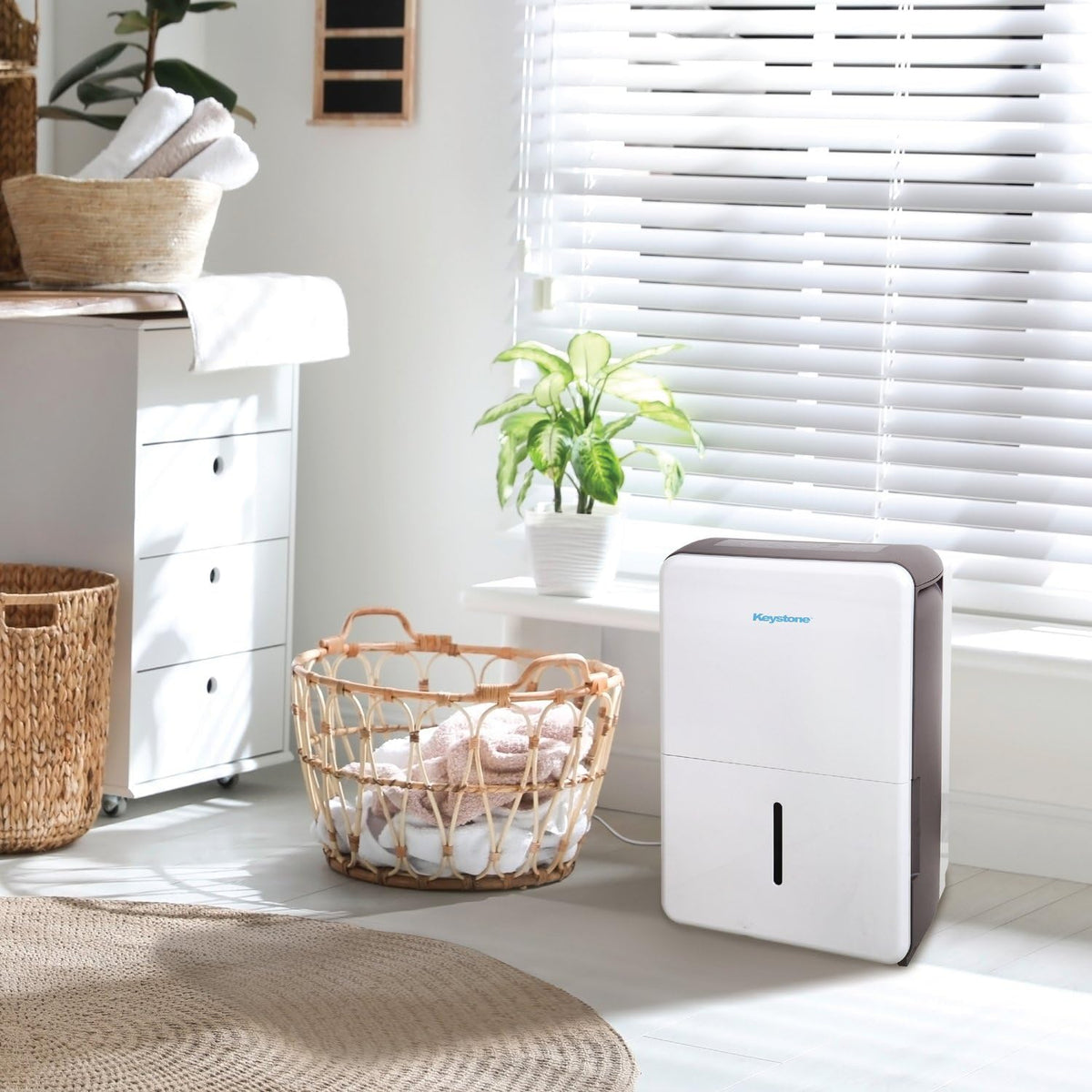 50-Pint Portable Dehumidifier with Auto-Shutoff and Timer L697004
