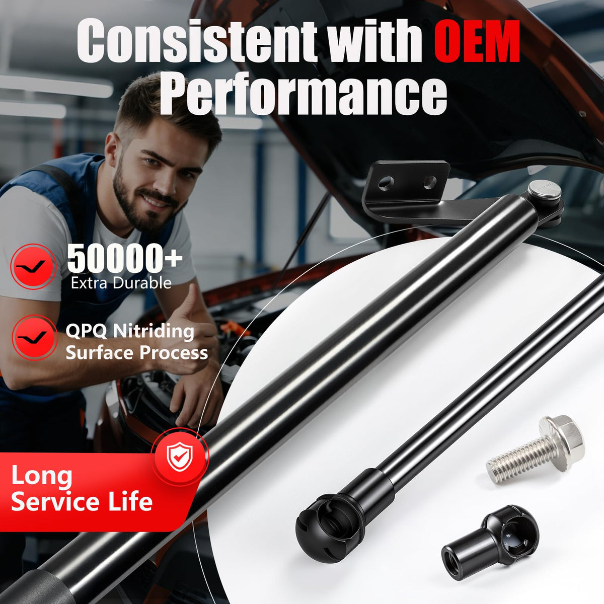 Rear Hatch Struts 2Pcs D303