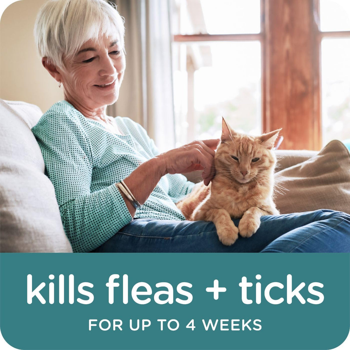 Flea & Tick Topical Cats 3-Month G4247