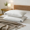 Feather and Down Pillows, 100% Organic Cotton Cover Z34548