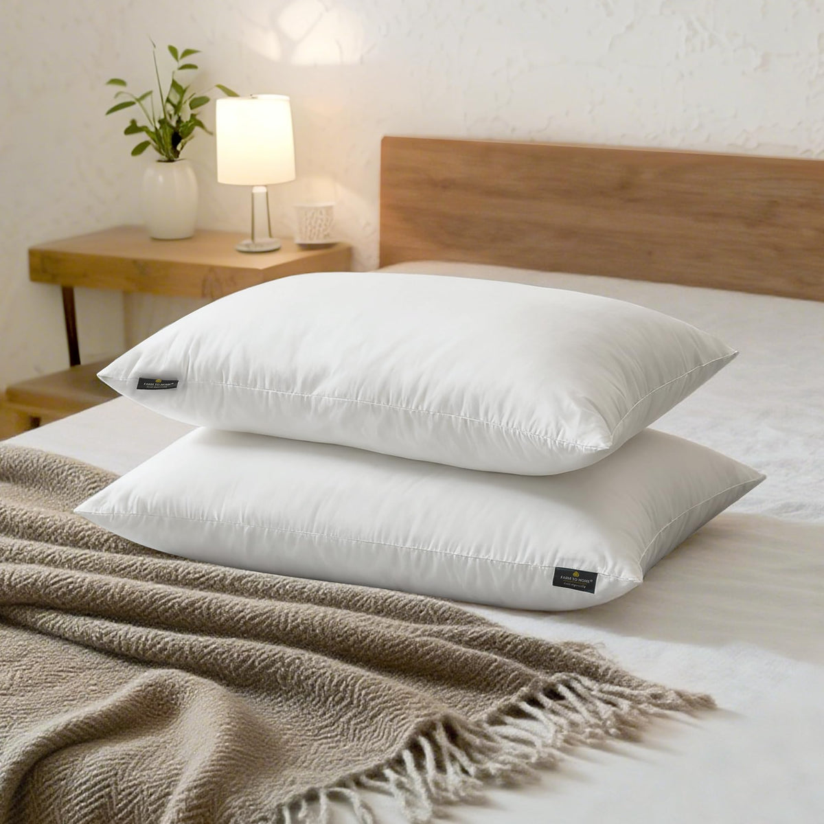 Feather and Down Pillows, 100% Organic Cotton Cover Z34548