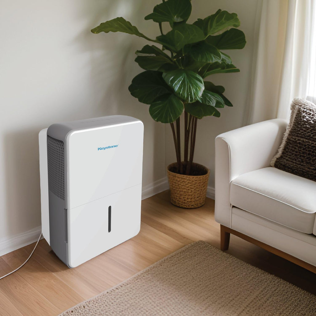 50-Pint Portable Dehumidifier with Auto-Shutoff and Timer L697004