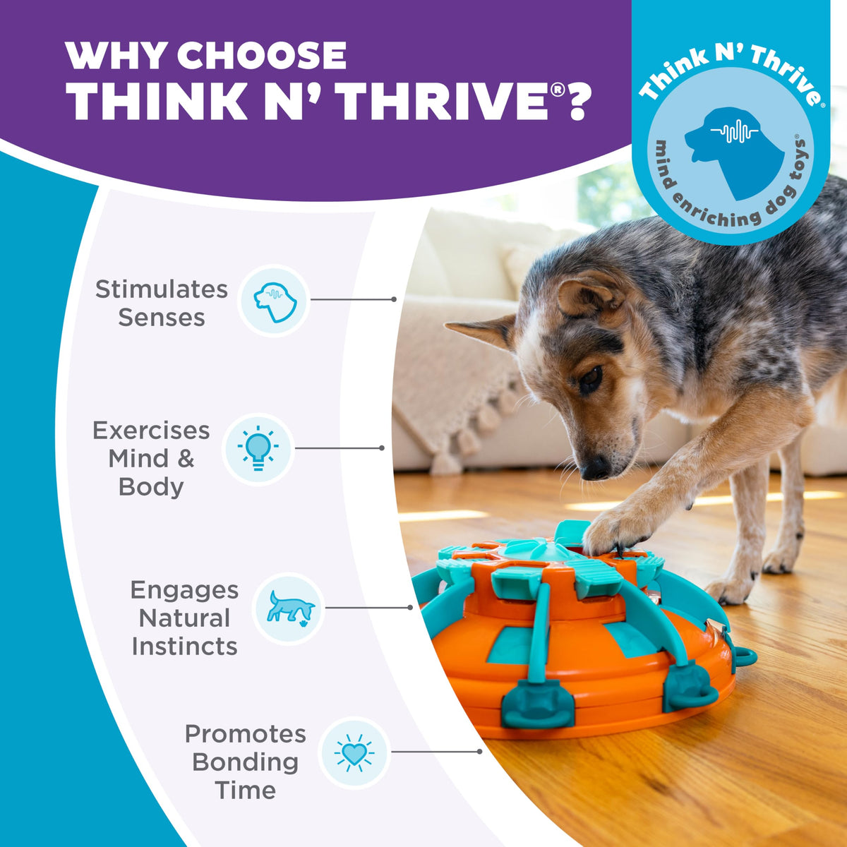 Dog Toy Treat Puzzle R808