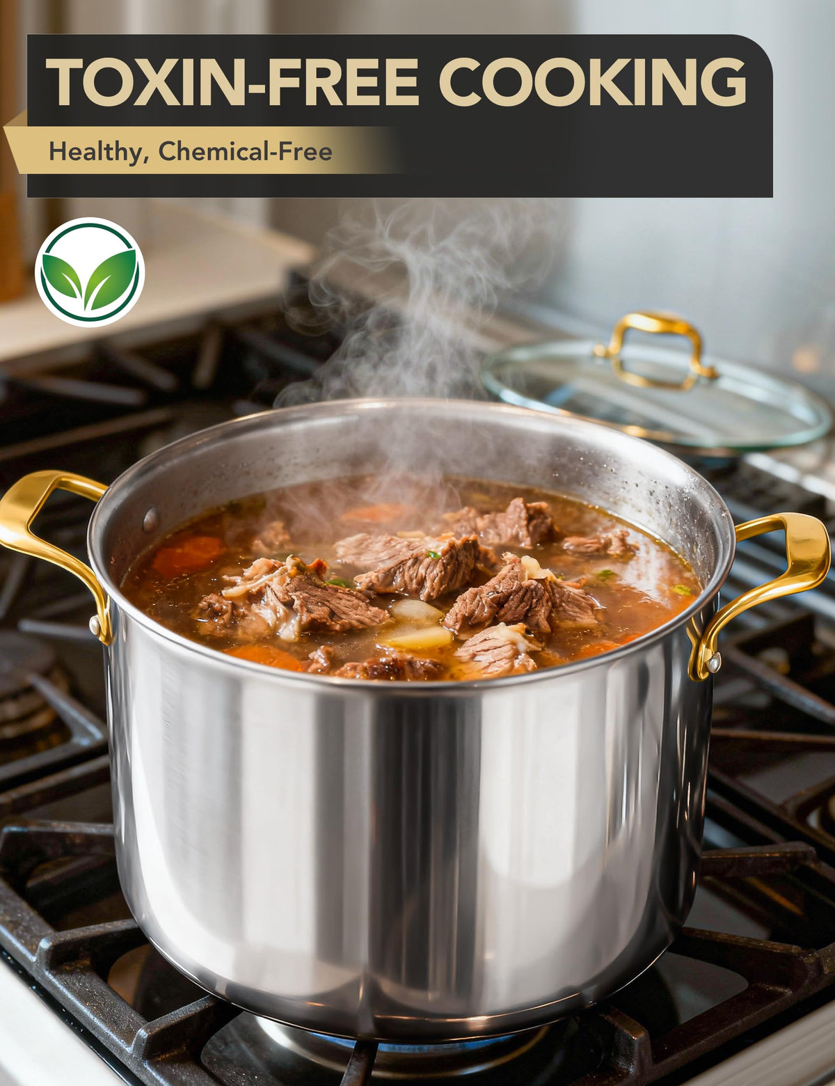 20 Quart Stainless Steel Stock Pot with Lid D8383