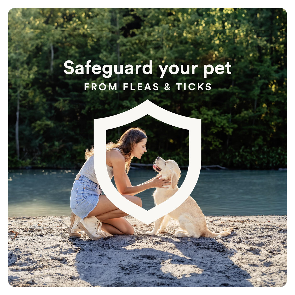 Flea and Tick Topical for Dogs 55+ lbs V96928