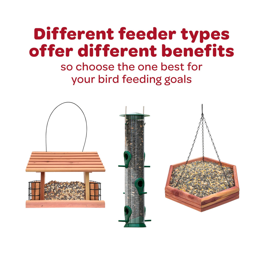 Nyjer Seed for Finches & Other Wild Birds, 20 Pounds C28069
