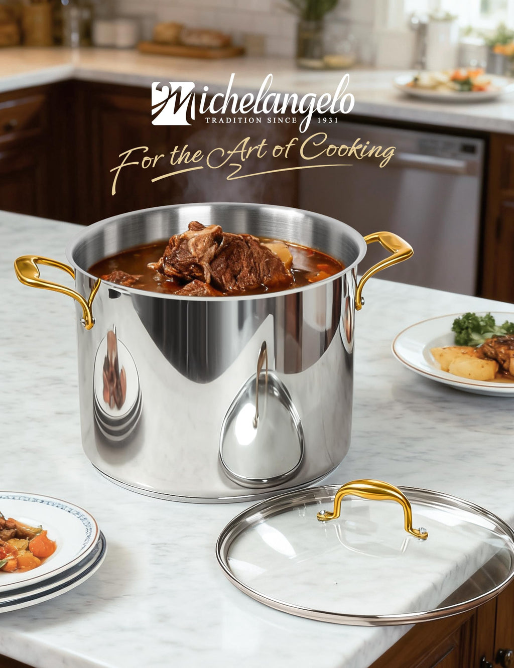 20 Quart Stainless Steel Stock Pot with Lid D8383