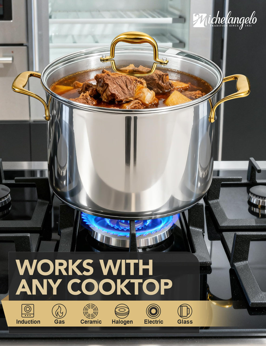 20 Quart Stainless Steel Stock Pot with Lid D8383