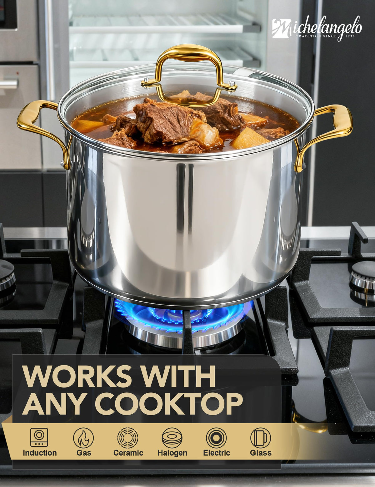 20 Quart Stainless Steel Stock Pot with Lid D8383