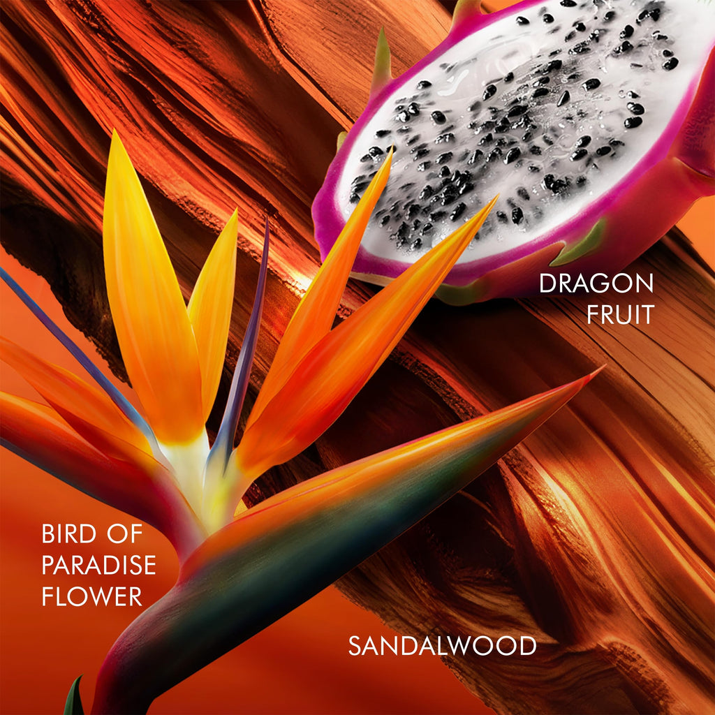 Floral Eau De Toilette with Dragon Fruit, Bird of Paradise & Sandalwood H4551
