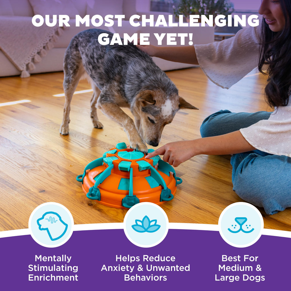 Dog Toy Treat Puzzle R808